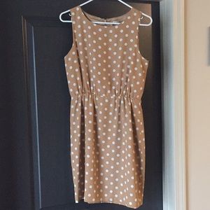 J Crew factory tan and white polka dot dress
